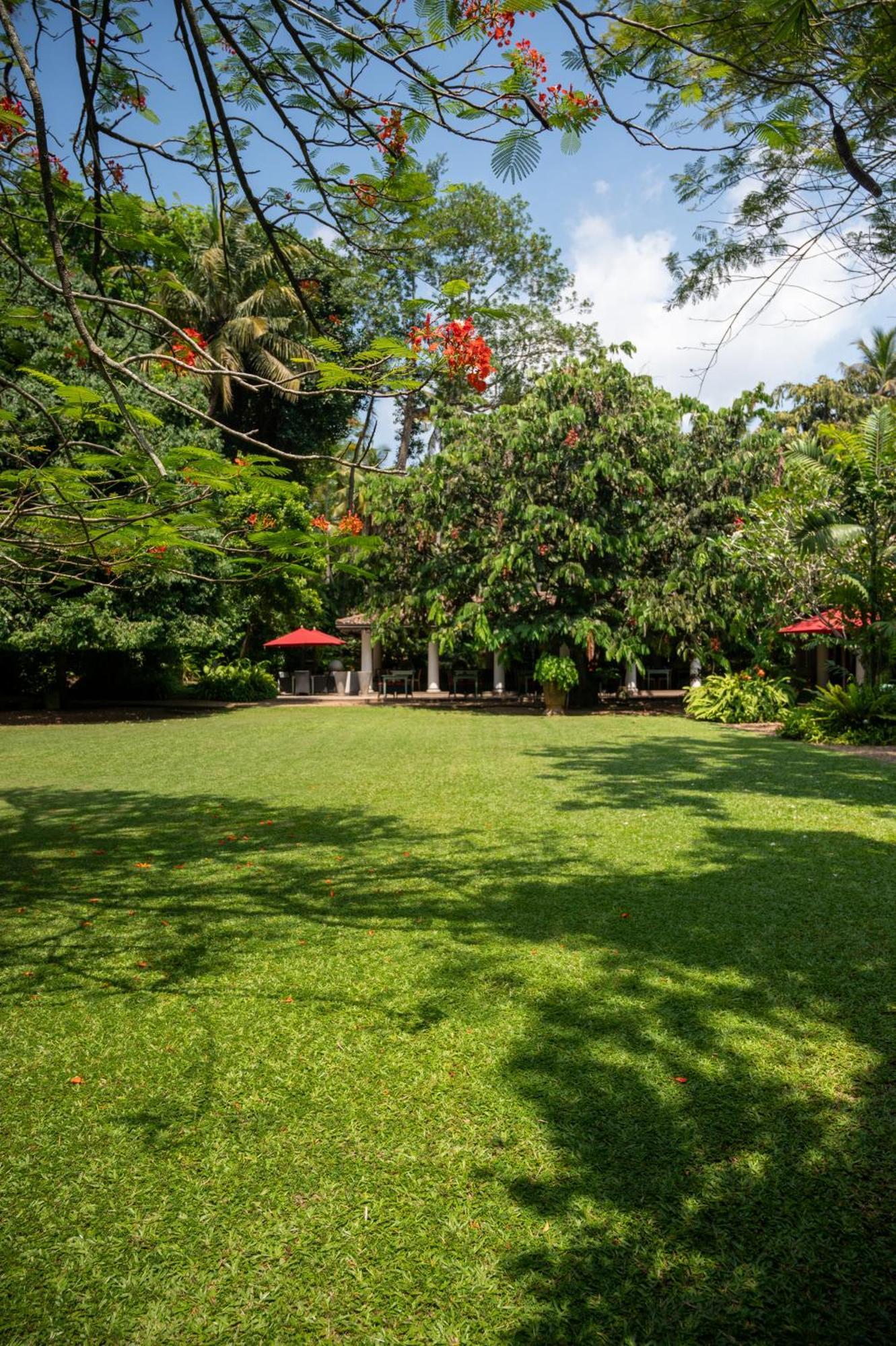 Wallawwa Katunayaka Exterior foto